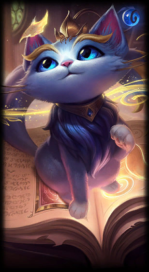 马术的优雅 马术的优雅