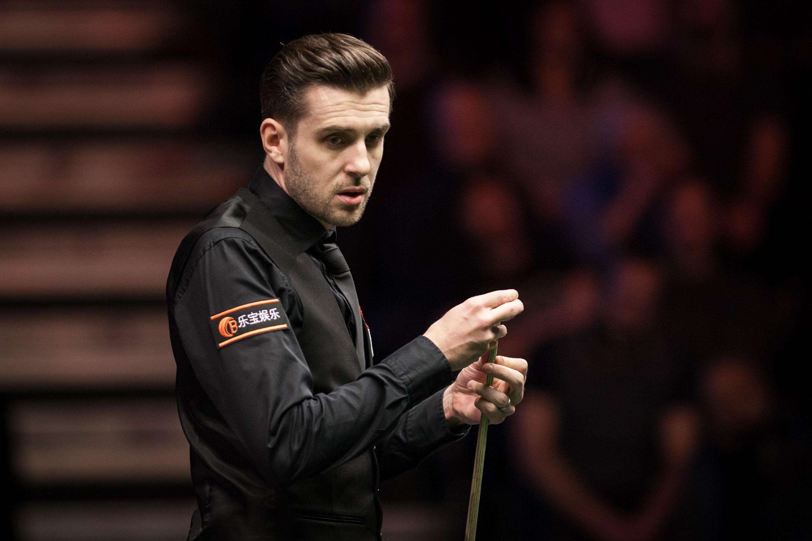 意大利国家 意大利国家